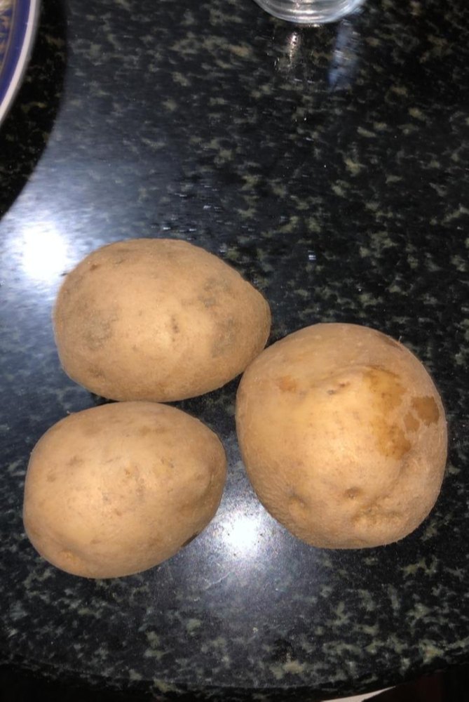 Garden Fresh Potatoes, Packaging Size: 50 Kg, Packaging Type: Plastic Bag