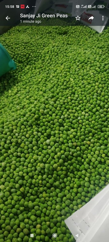A Grade Pan India Super Green Pea, Carton, Packaging Size: 35, kg