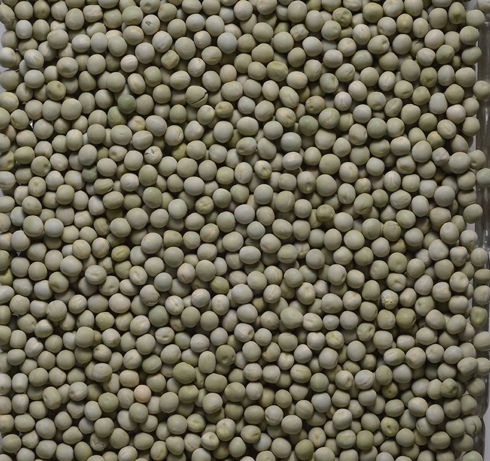 Green A Grade Hara Matar, Woven Bags, Packaging Size: 50 Kgs