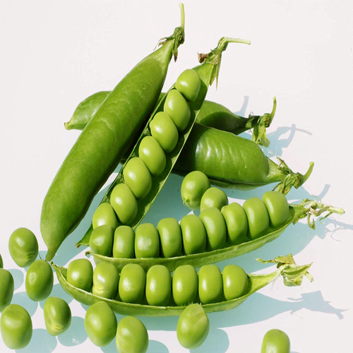 A Grade Peas Vegetable