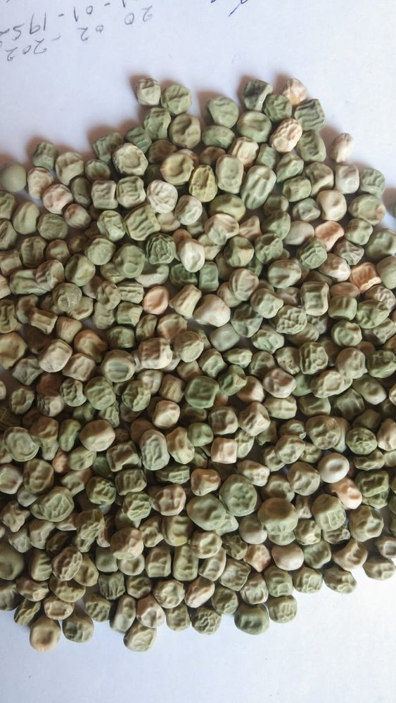 B Grade Pan India Green Peas Vatana (Pichka), Plastic Bags, Packaging Size: 30