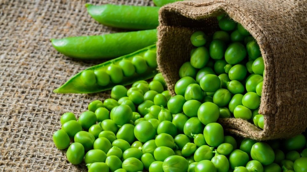 A Grade Organic Fresh Green Pea