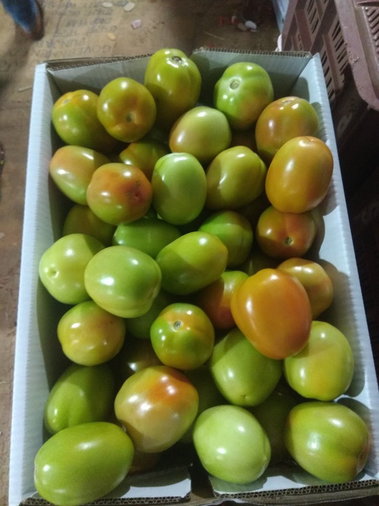 Red Tomato