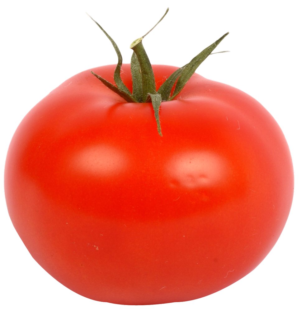 Maharashtra Hybrid A Grade Red Fresh Tomato