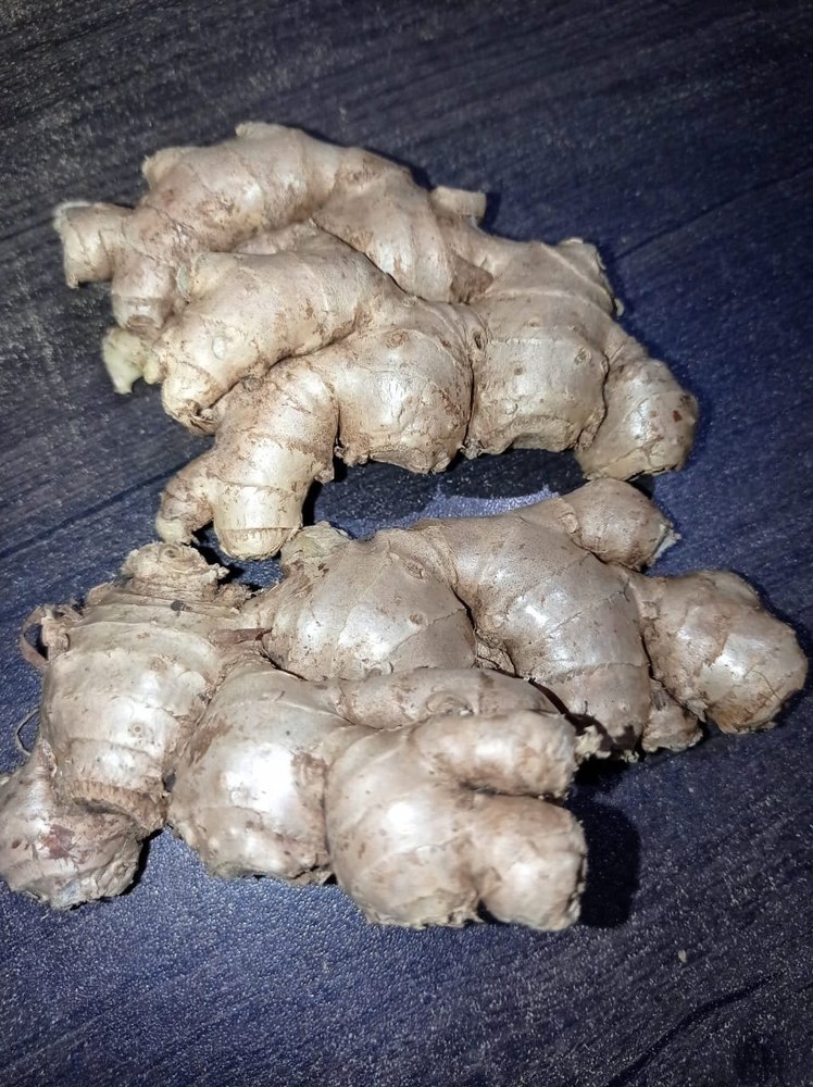 A Grade brown Rigodi Ginger, Gunny Bag, Packaging Size: 40kg, 60kg