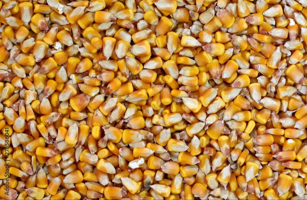 Dehydrated Sweet Corn Flakes, For Food Processing, Packaging Type: Packet