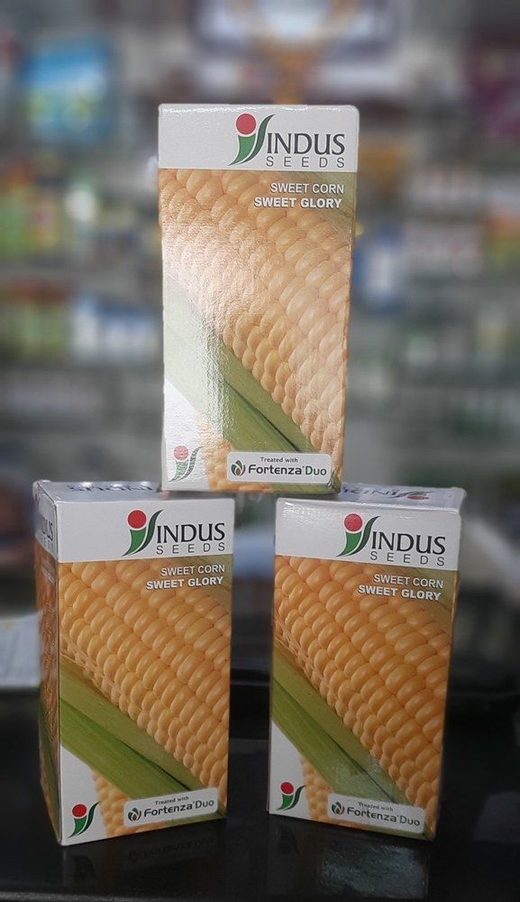 A Grade Yellow Sweet Corn Sweet Glory, 1Kg, Packaging Type: Carton