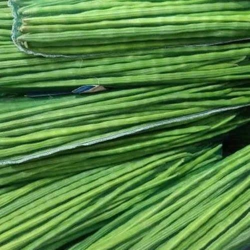 TamilNadu A Grade Fresh Drumstick Vegetable, 5 Kg, Moringa