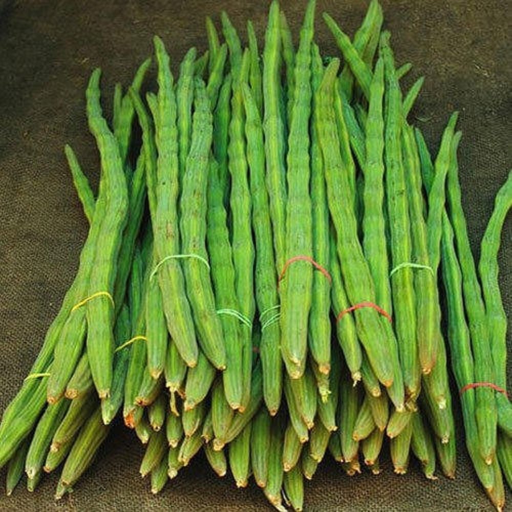 Maharashtra A Grade Fresh Drumstick Vegetable, Loose