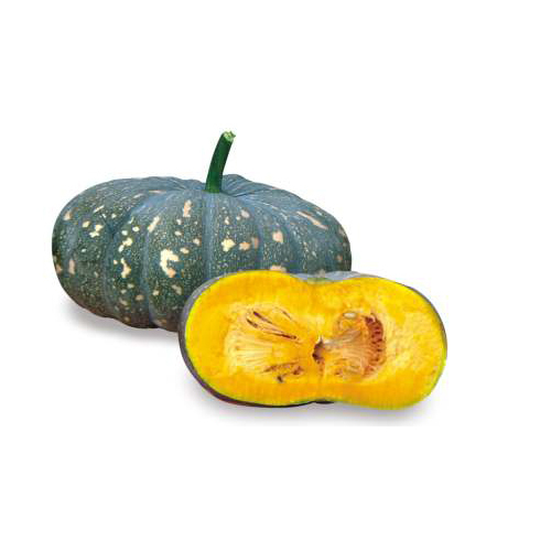 A Grade Winter Squash Pratik