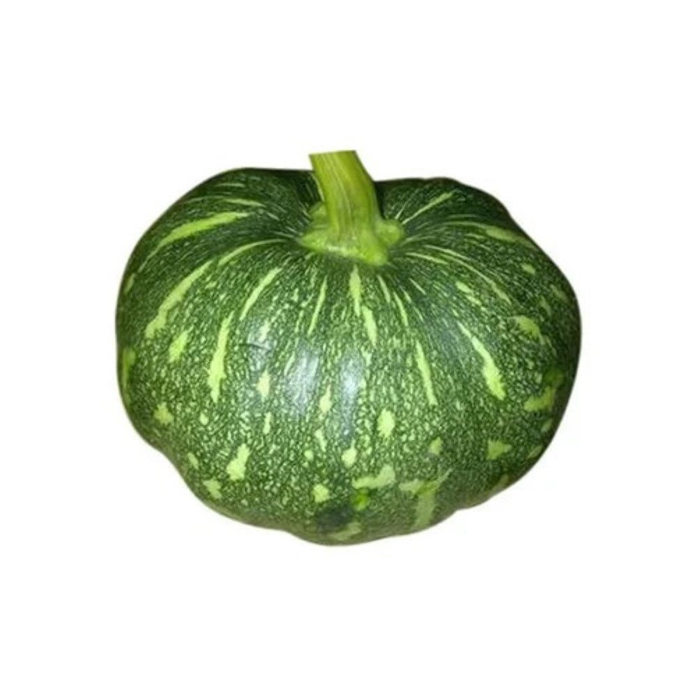 A Grade Maharashtra Fresh Green Pumpkin