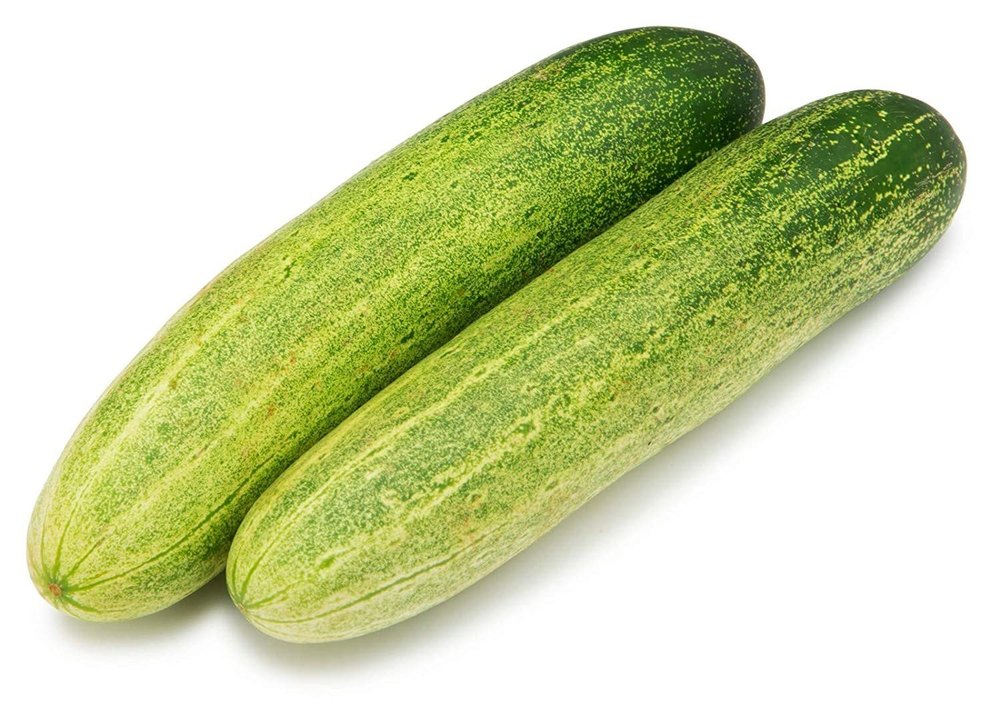 Fresh Cucumber, Gunny Bag, Packaging Size: 1 Kg