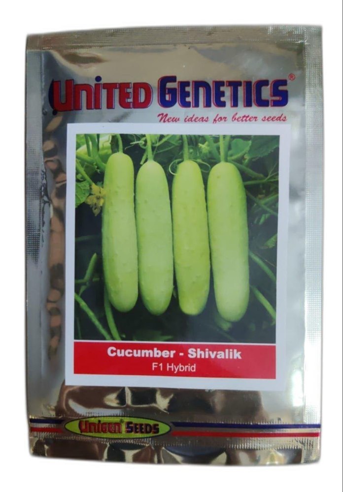 Green F1 Hybrid Cucumber shivalik, Packaging Type: Packet, Packaging Size: 25 G