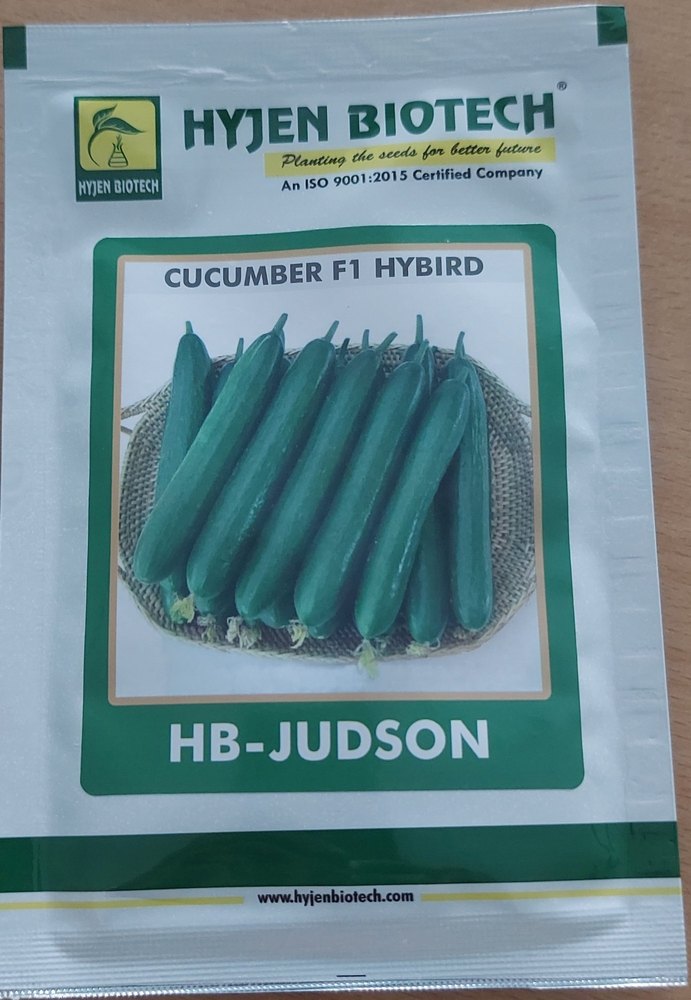 A Grade Pan India Judson Cucumber, Carton, Packaging Size: 5 Kg