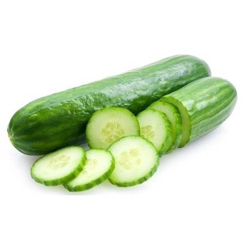 Organic Fresh Cucumber