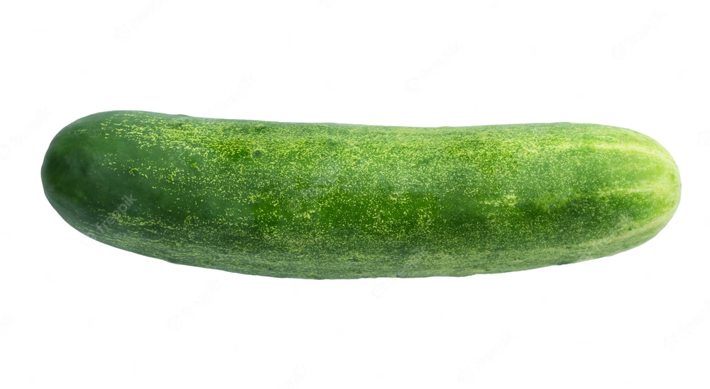 A Grade Punjab Organic Green Cucumber, Loose
