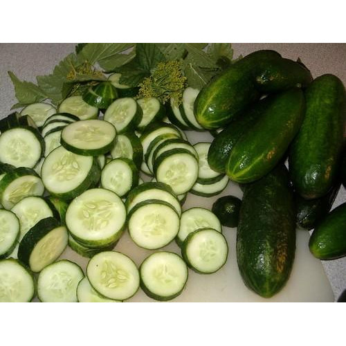Green Fresh Cucumber