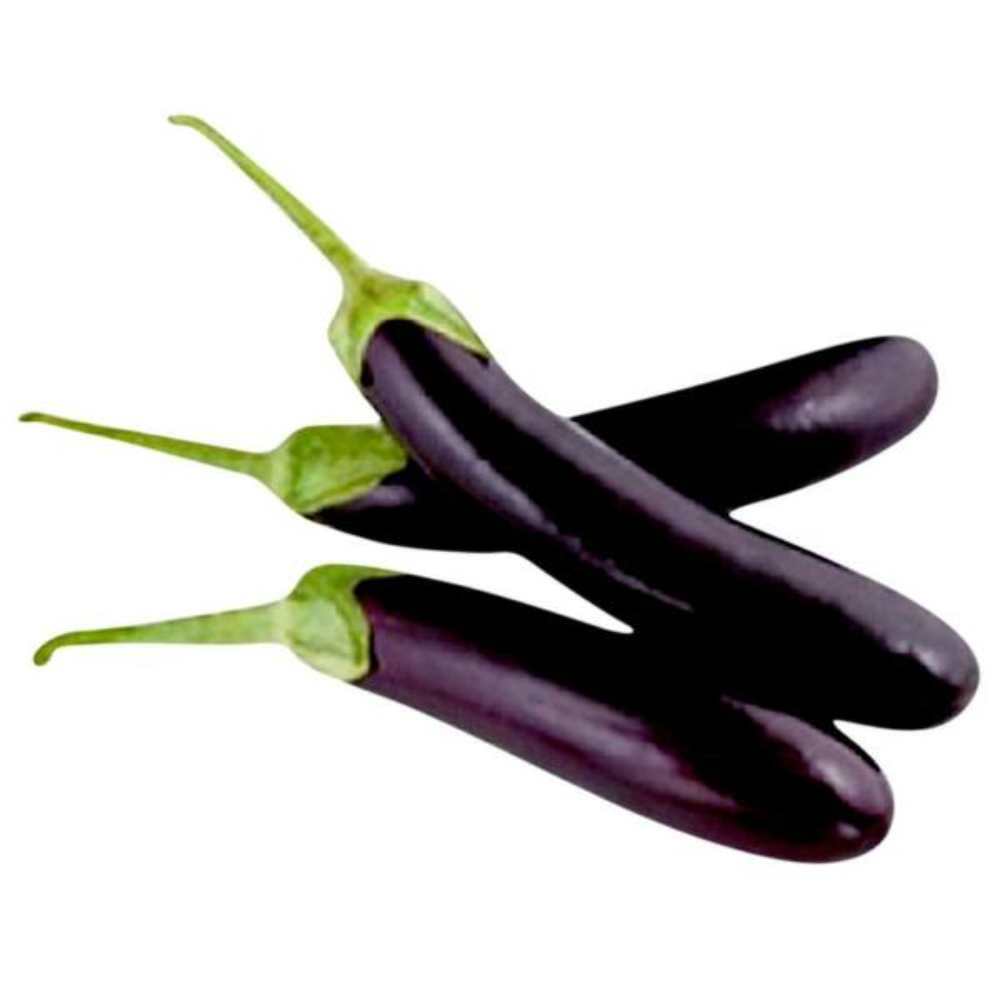 F1 Hybrid Brinjal Seeds, Packaging Type: Poly Bag, Packaging Size: 1 KG