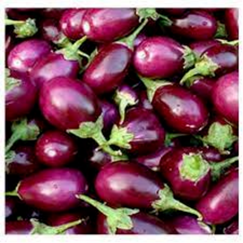 Brinjal