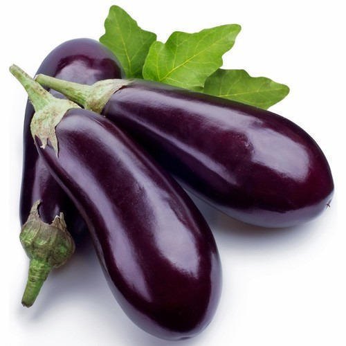 A Grade Brinjal, Gunny Bag, 50 kg