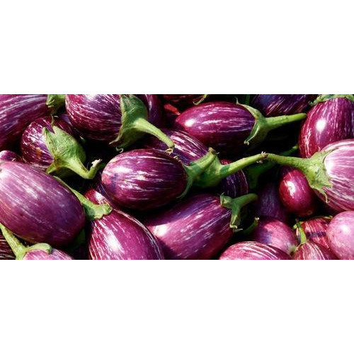 A Grade Fresh Brinjal, Pesticide Free (for Raw Products)
