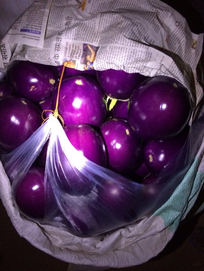 Pan India A Grade Round Brinjal, Crate, 20 Kg