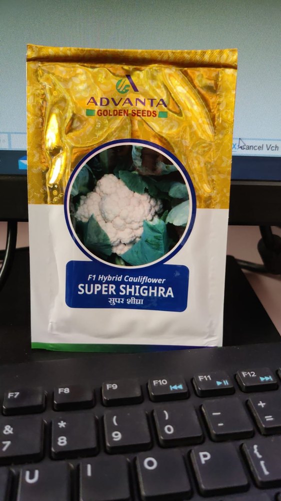 Natural White Cauliflower Super Shighra, Packaging Size: Packet