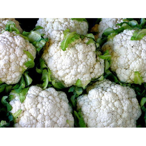 A Grade Fresh Cauliflower, Packaging: Plastic Bag Or Polythene Bag