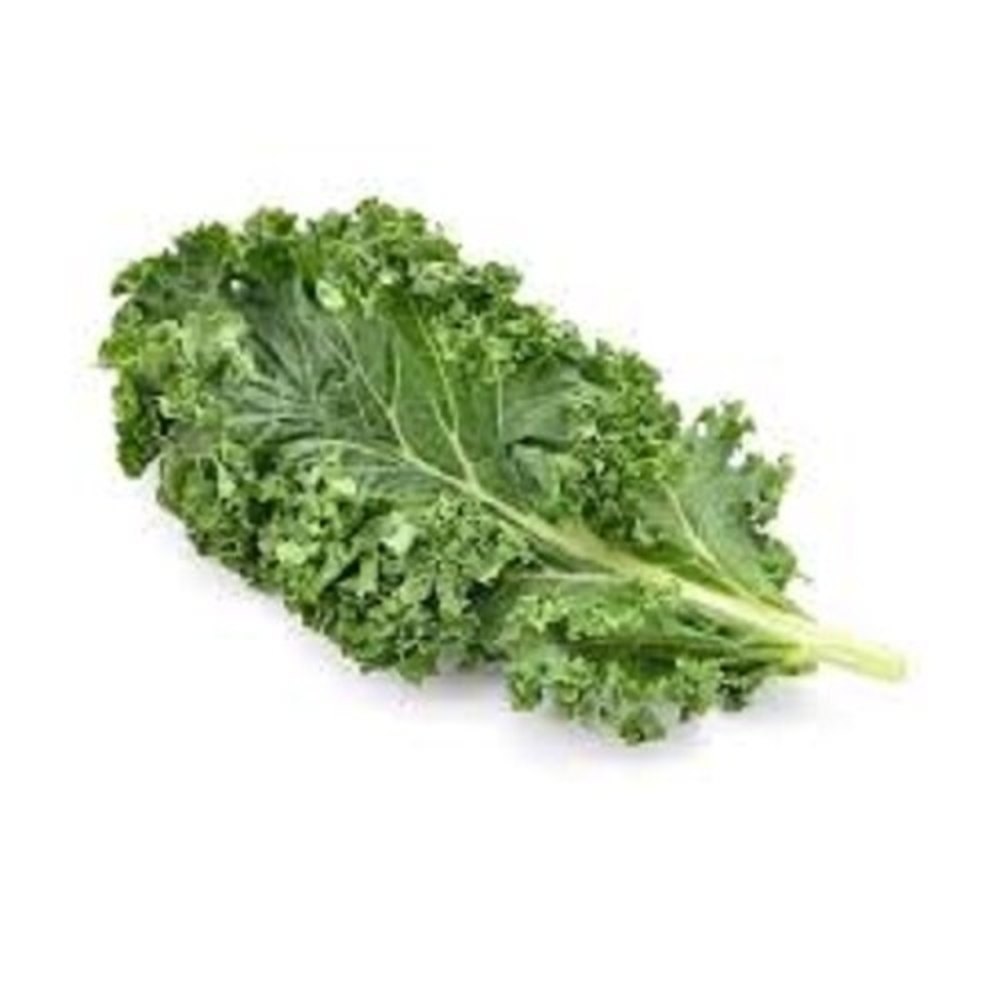 Brown Leaf Kale Extract ., Packaging Type: HDPE Drum, Packaging Size: 10 kg