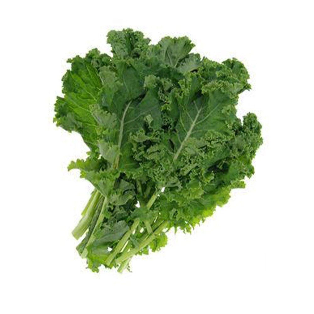 A Grade Delhi Fresh Green Kale