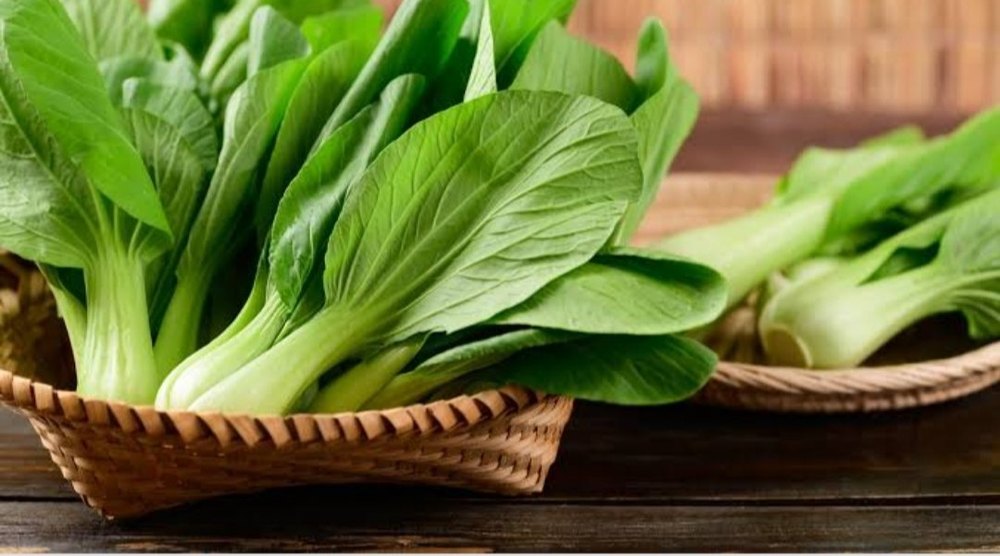 A Grade Green Fresh Bok Choy, Carton, 10 Kg