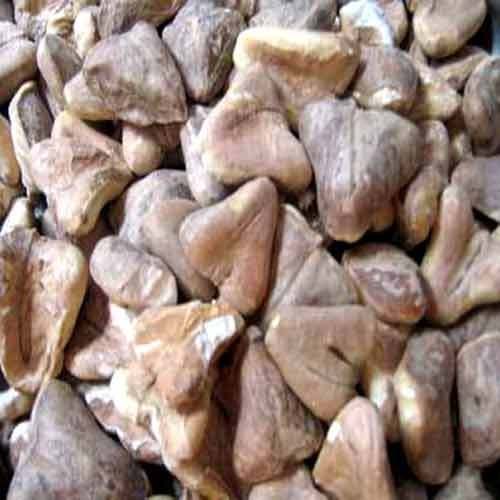 Dry Singhara, Packaging Size: 50kg