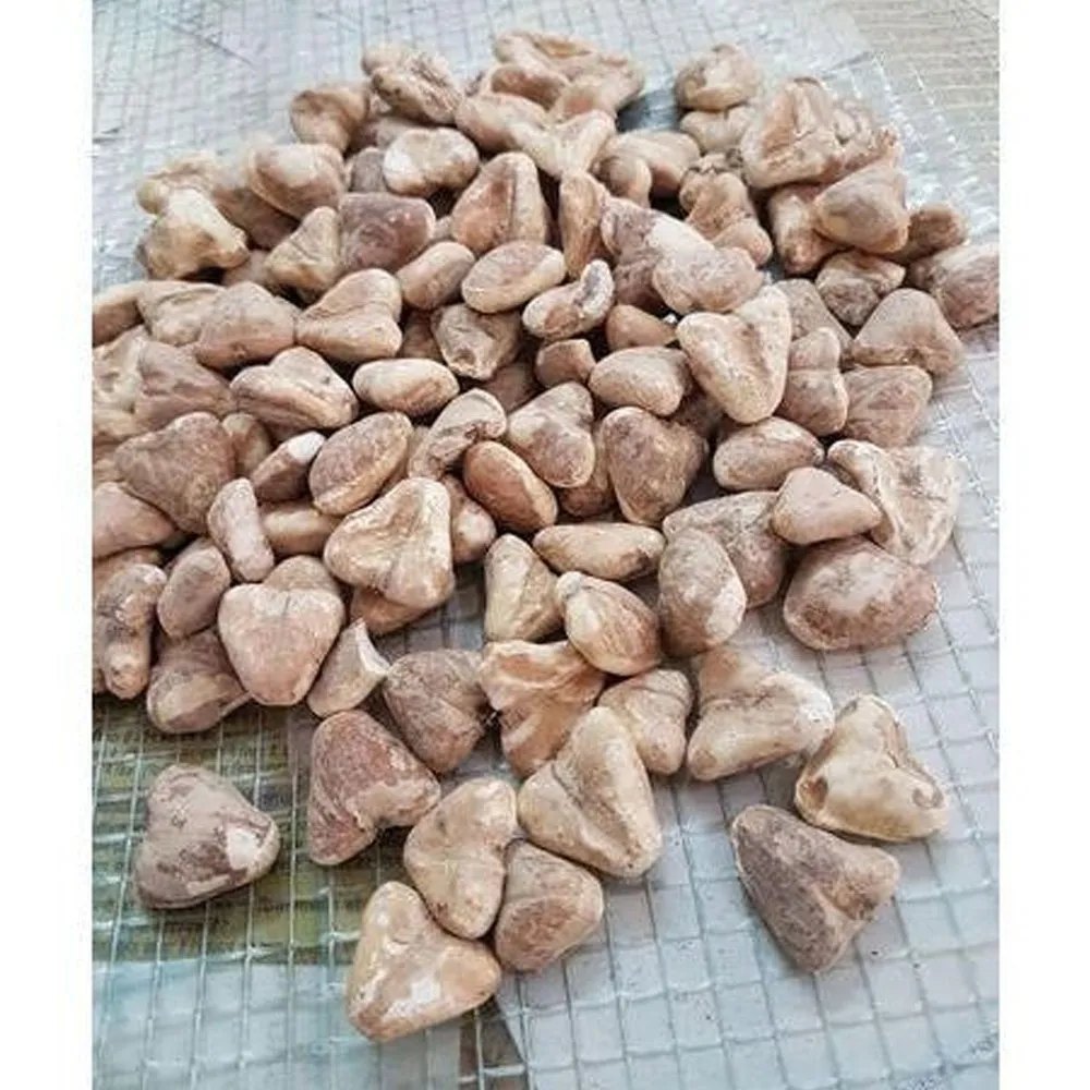 A Grade Dried Water Chestnut, Loose