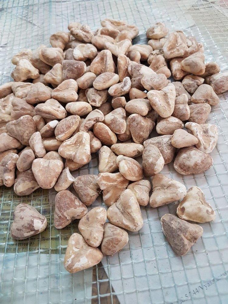 Water Caltrop / Singhara