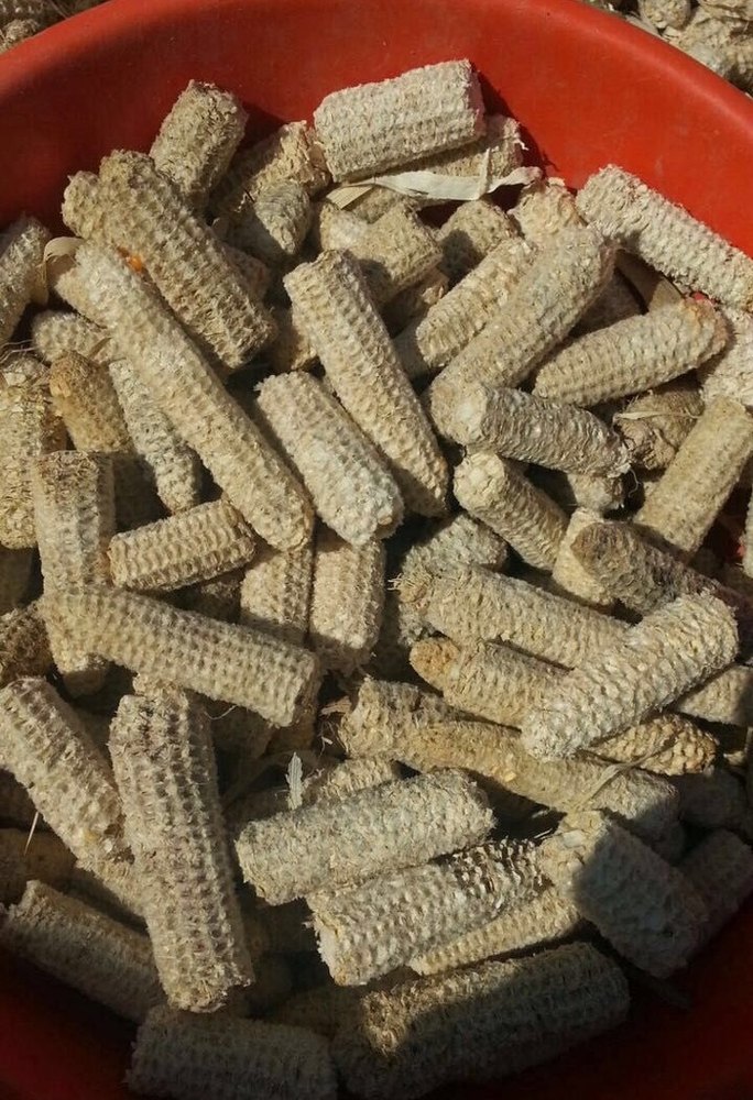 Corn Cob