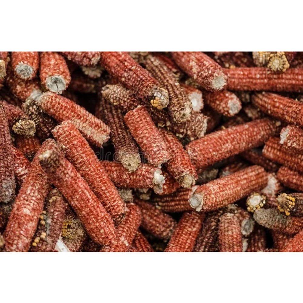 A Grade Red Dry Corn Cobs, Loose