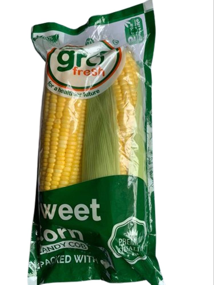 A Grade Yellow Fresh Sweet Corn Cobs, Packet