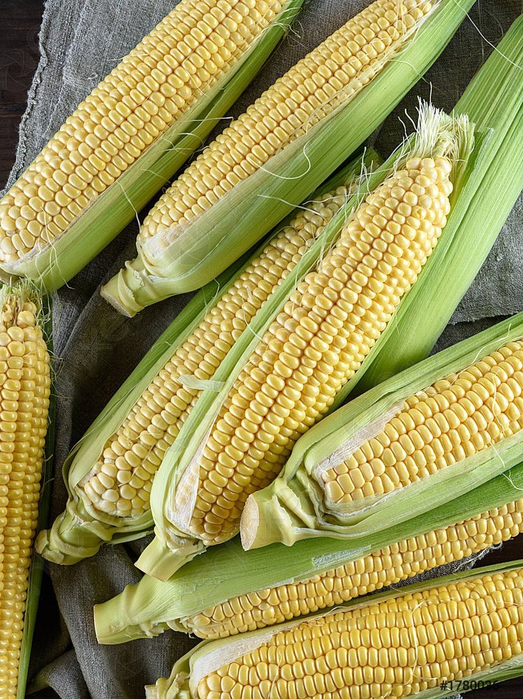 A Grade Yellow Fresh Pipe Sweet Corn Cob, Loose