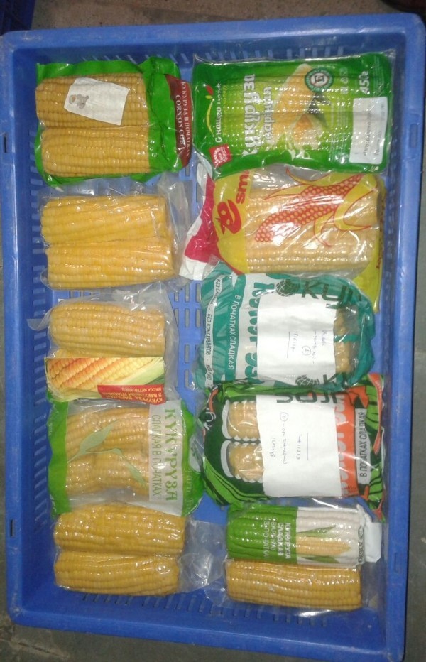 Vacuum Packed Corn On Cobs, Packaging: Carton