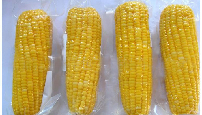 Organic Sweet Corn Cob, Packaging: Pouch