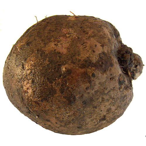 Fresh Yam, Pesticide Free (for Raw Products)