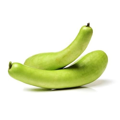 A Grade Light Green Frozen Bottle Gourd
