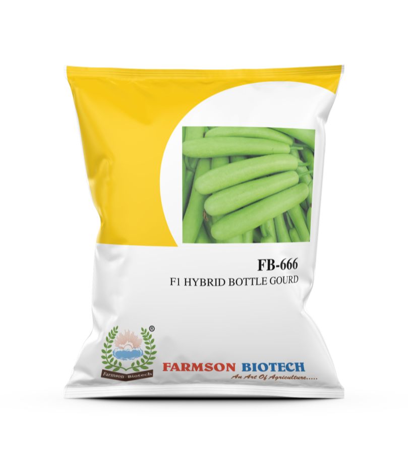 Green FB-666 F1 Hybrid Bottle Gourd Seeds, Packaging Type: 3 Layer Aluminum Foil, Packaging Size: 10 Gm