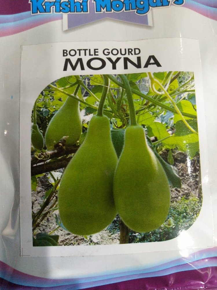 A Grade Green Bottle Gourd Moyna, packets, 1 kg
