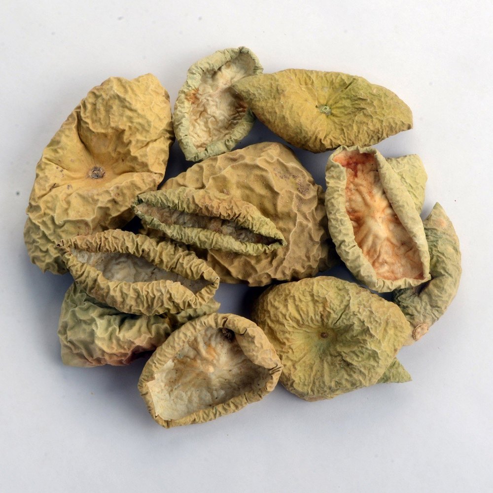 A Grade Green Fofaliya (dry tinda), Carton