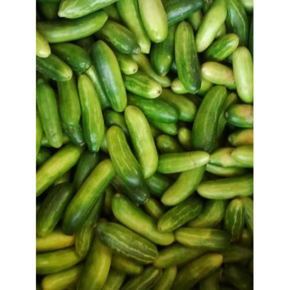 Fresh Tindora