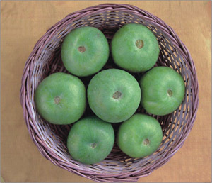 Tinda