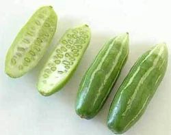 Punjabi Tinda