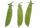 Snow Peas