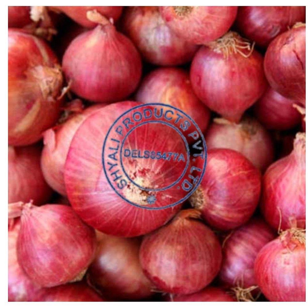 A Grade Maharashtra Red New Onion, Gunny Bag, Packaging Size: 50 Kg